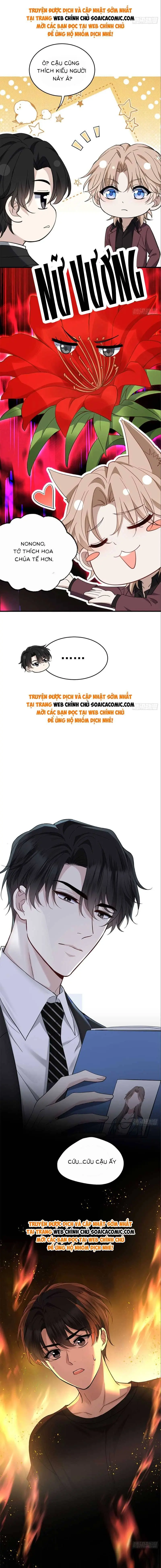 Ninita Yêu Dấu - Phần 2 Chapter 1394.1 - Trang 8