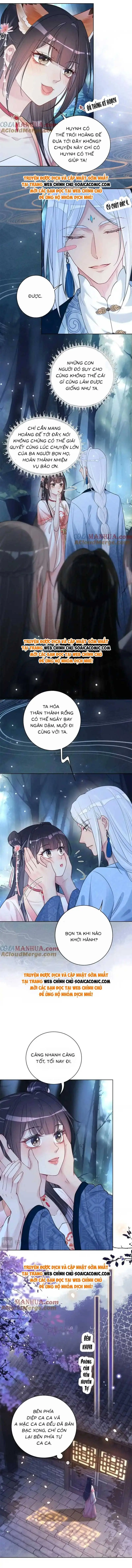 Ninita Yêu Dấu - Phần 2 Chapter 1395.4 - Trang 7