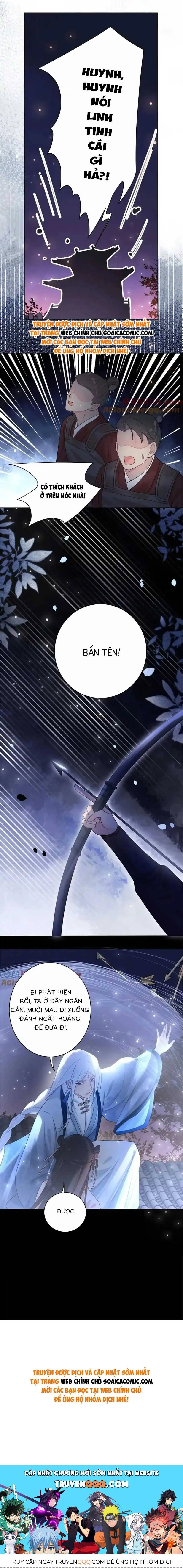 Ninita Yêu Dấu - Phần 2 Chapter 1395.5 - Trang 13