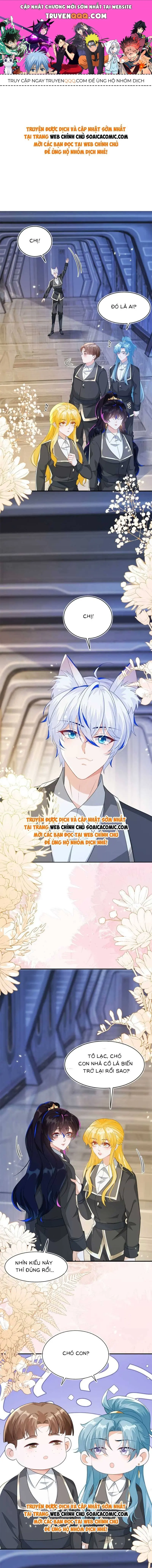 Ninita Yêu Dấu - Phần 2 Chapter 1412.1 - Trang 2