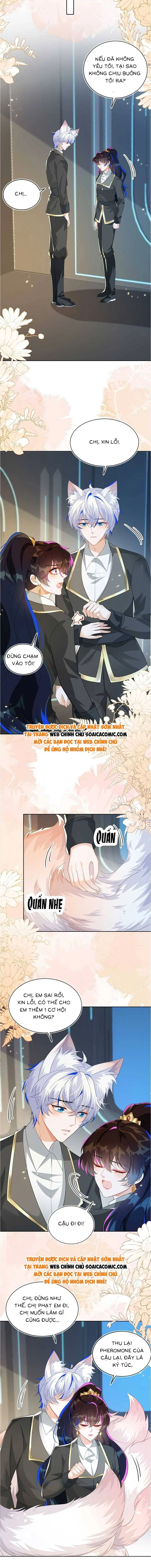 Ninita Yêu Dấu - Phần 2 Chapter 1412.1 - Trang 6