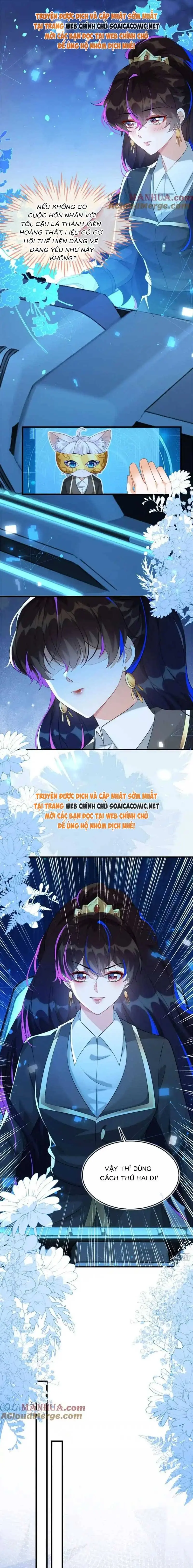 Ninita Yêu Dấu - Phần 2 Chapter 1429.3 - Trang 11