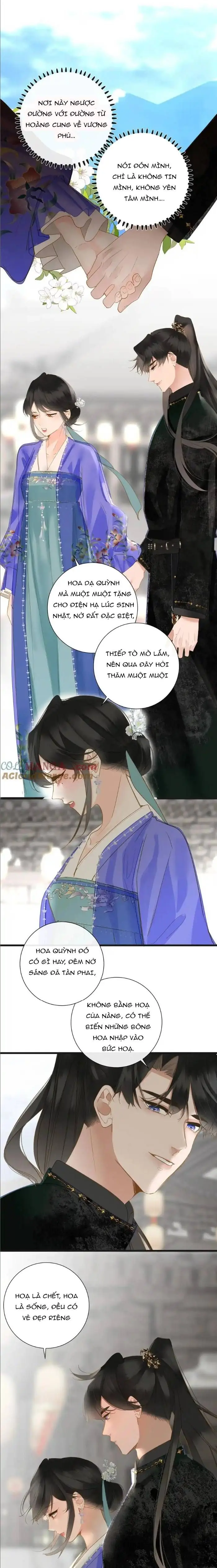 Ninita Yêu Dấu - Phần 2 Chapter 1473.3 - Trang 11