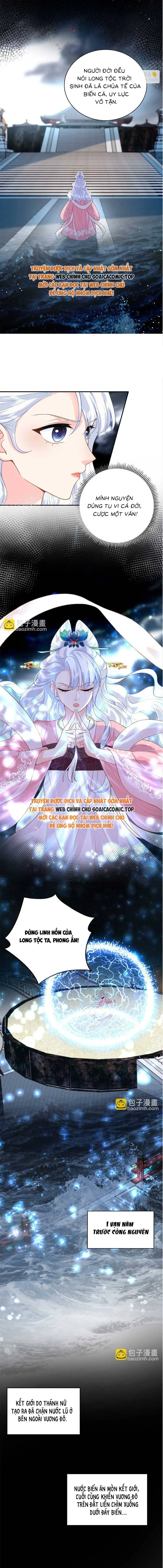 Ninita Yêu Dấu - Phần 2 Chapter 1506.3 - Trang 3