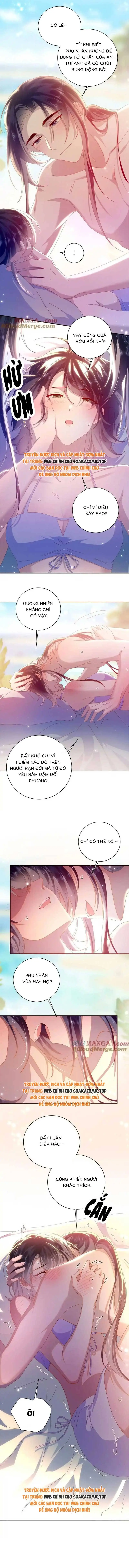 Ninita Yêu Dấu - Phần 2 Chapter 1520.4 - Trang 3