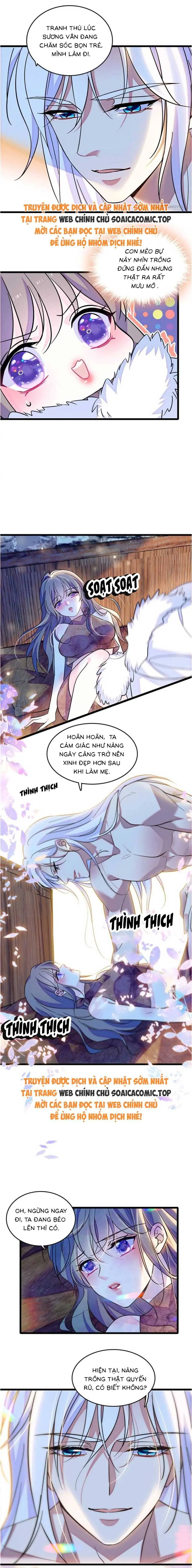Ninita Yêu Dấu - Phần 2 Chapter 1569.1 - Trang 3