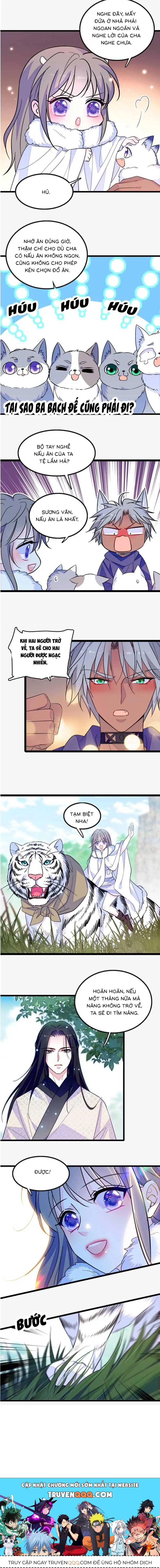Ninita Yêu Dấu - Phần 2 Chapter 1580.5 - Trang 5