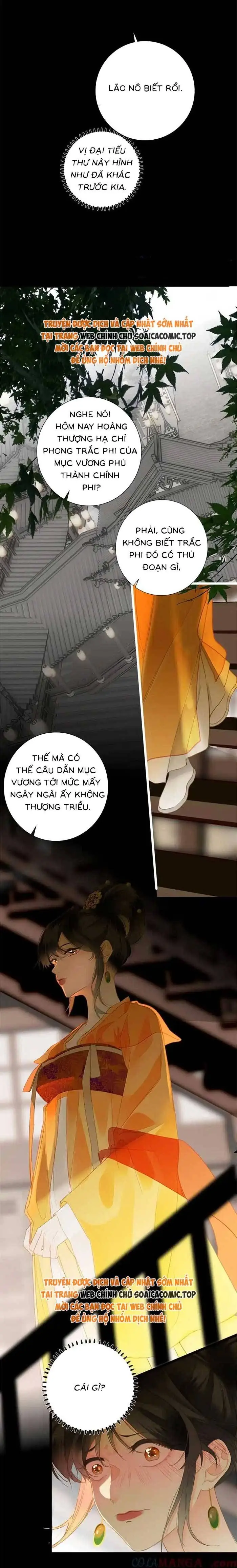 Ninita Yêu Dấu - Phần 2 Chapter 1600.5 - Trang 3