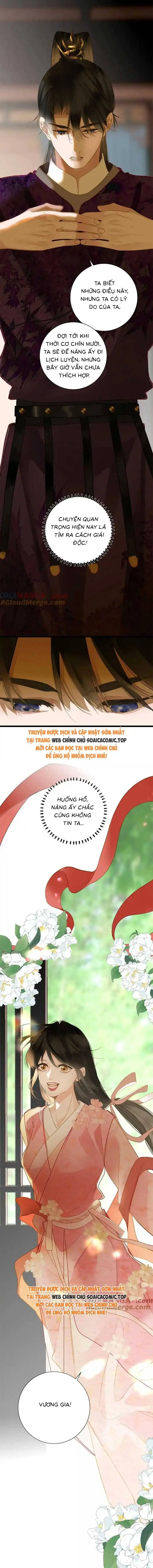 Ninita Yêu Dấu - Phần 2 Chapter 1600.5 - Trang 8