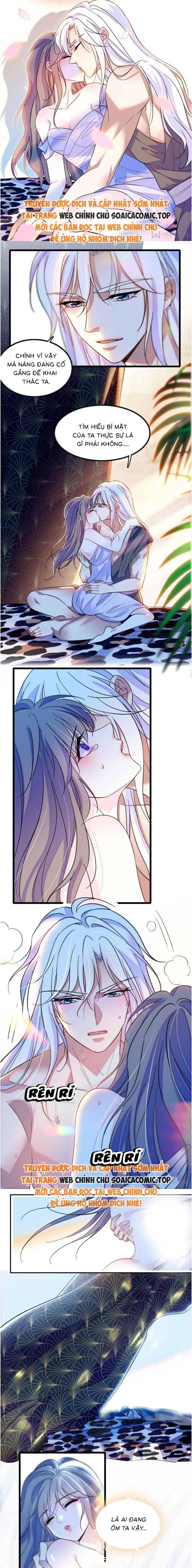 Ninita Yêu Dấu - Phần 2 Chapter 1600.8 - Trang 3