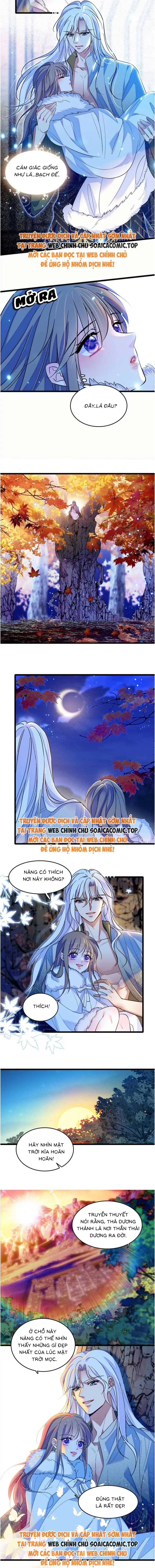 Ninita Yêu Dấu - Phần 2 Chapter 1600.8 - Trang 4