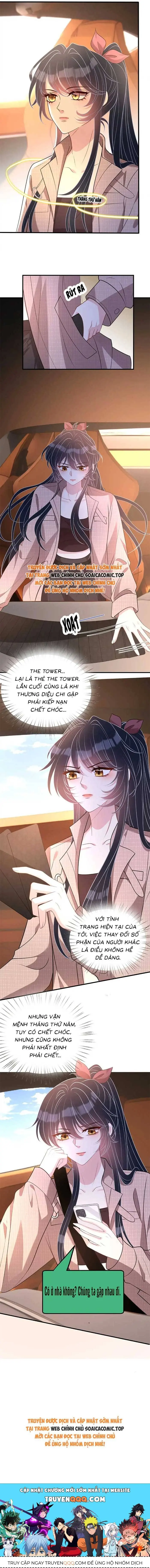 Ninita Yêu Dấu - Phần 2 Chapter 1608.1 - Trang 7