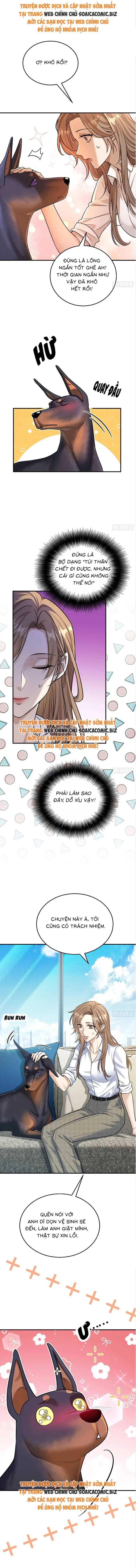 Ninita Yêu Dấu - Phần 2 Chapter 1693.2 - Trang 4