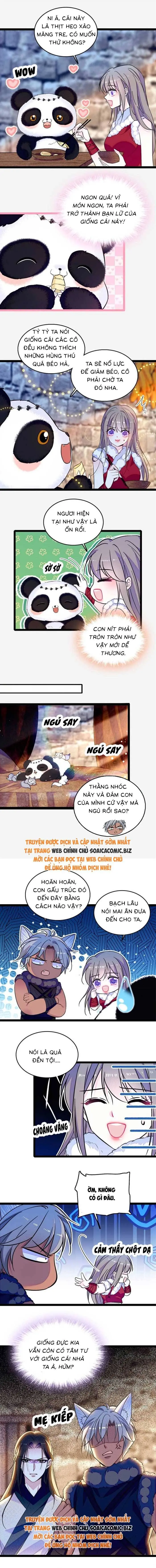 Ninita Yêu Dấu - Phần 2 Chapter 1709.5 - Trang 3