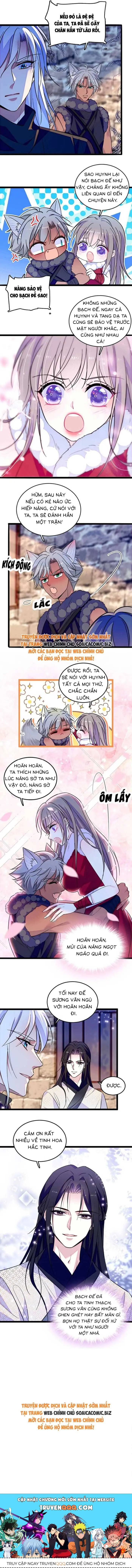 Ninita Yêu Dấu - Phần 2 Chapter 1709.5 - Trang 4