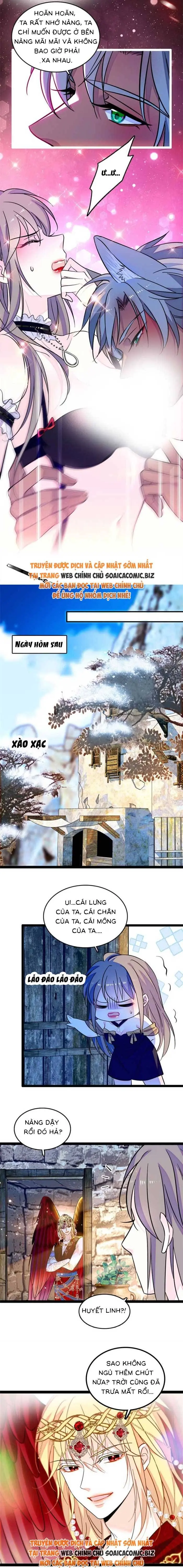 Ninita Yêu Dấu - Phần 2 Chapter 1709.9 - Trang 4