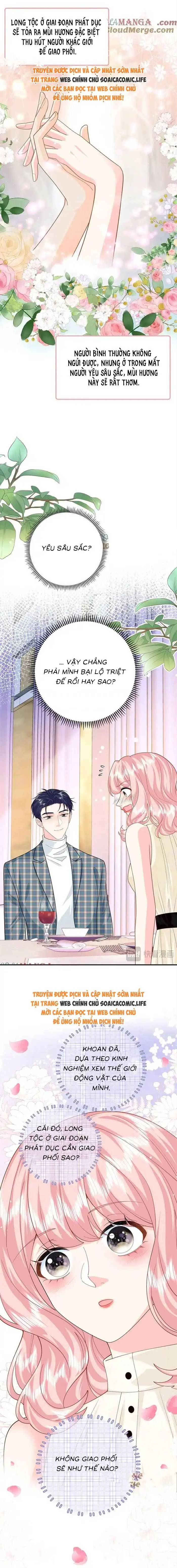 Ninita Yêu Dấu - Phần 2 Chapter 1710.6 - Trang 3