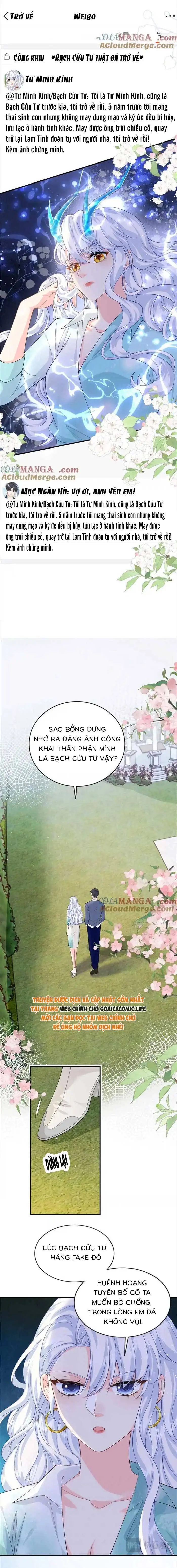 Ninita Yêu Dấu - Phần 2 Chapter 1710.6 - Trang 7