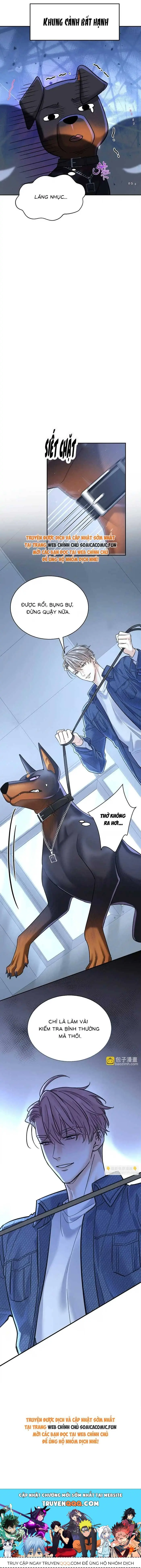Ninita Yêu Dấu - Phần 2 Chapter 1720.5 - Trang 12