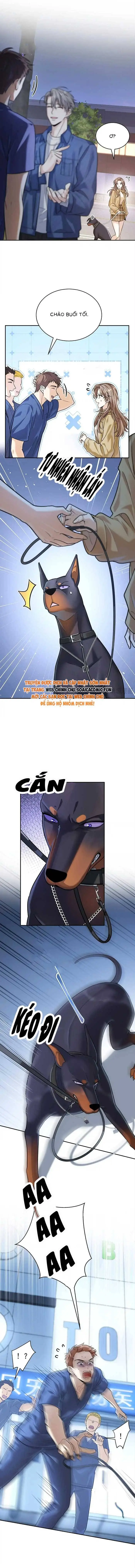 Ninita Yêu Dấu - Phần 2 Chapter 1720.5 - Trang 7