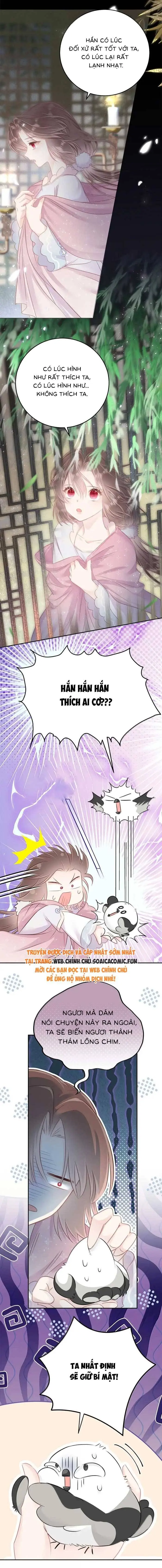 Ninita Yêu Dấu - Phần 2 Chapter 1727.3 - Trang 5