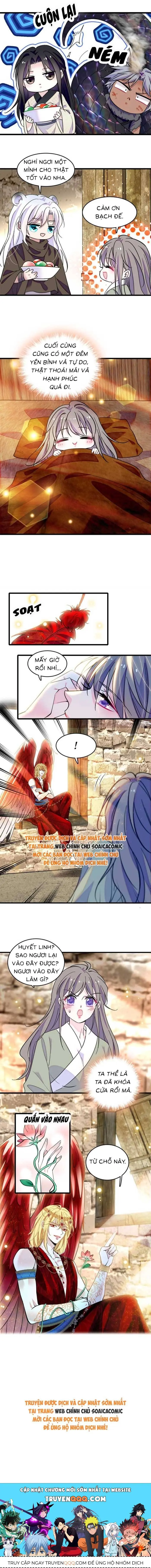 Ninita Yêu Dấu - Phần 2 Chapter 1727.8 - Trang 5