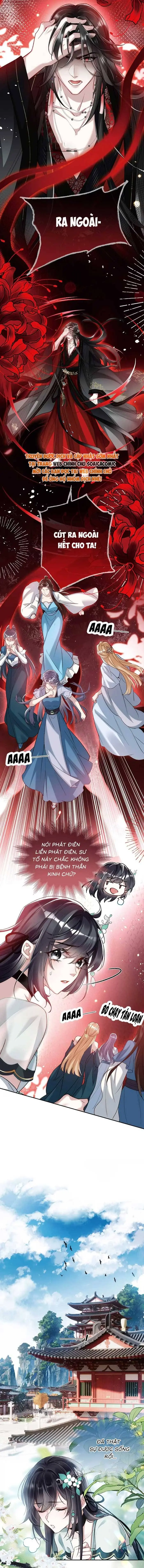 Ninita Yêu Dấu - Phần 2 Chapter 1752.1 - Trang 3