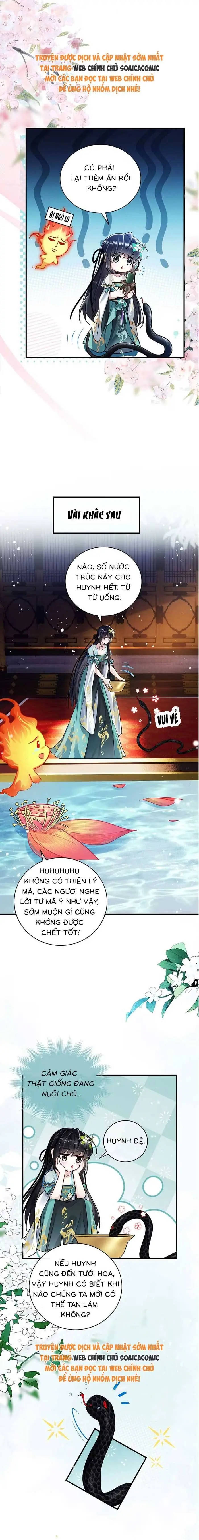Ninita Yêu Dấu - Phần 2 Chapter 1752.7 - Trang 5