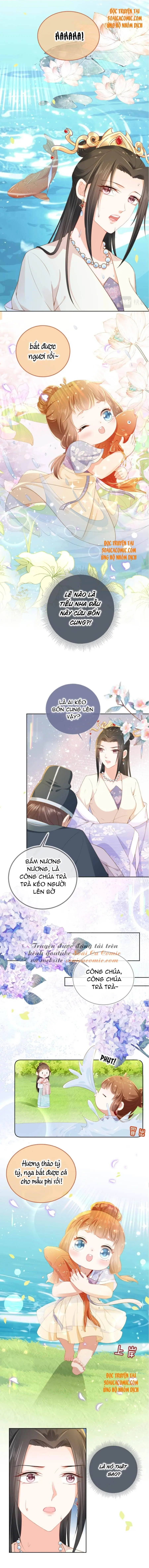 Ninita Yêu Dấu - Phần 2 Chapter 232.4 - Trang 8