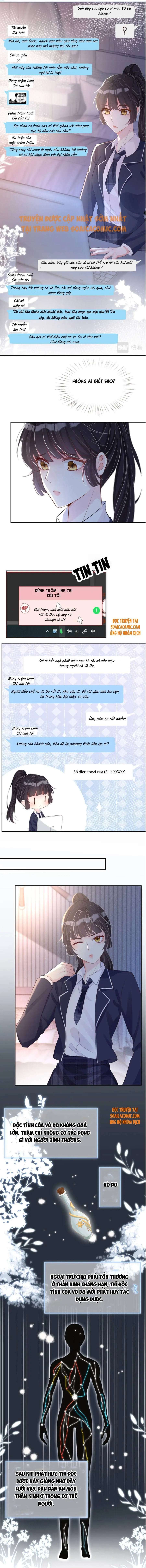 Ninita Yêu Dấu - Phần 2 Chapter 251.1 - Trang 5