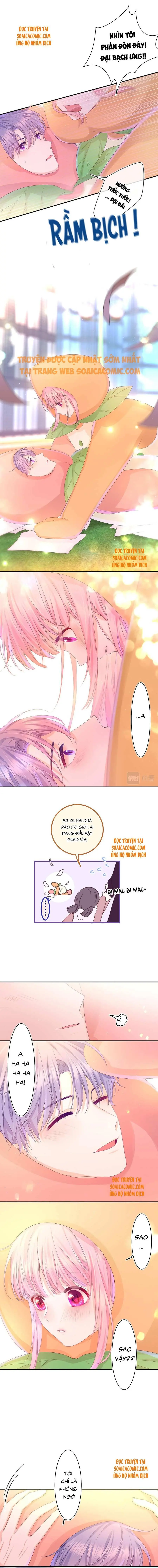Ninita Yêu Dấu - Phần 2 Chapter 301.8 - Trang 4