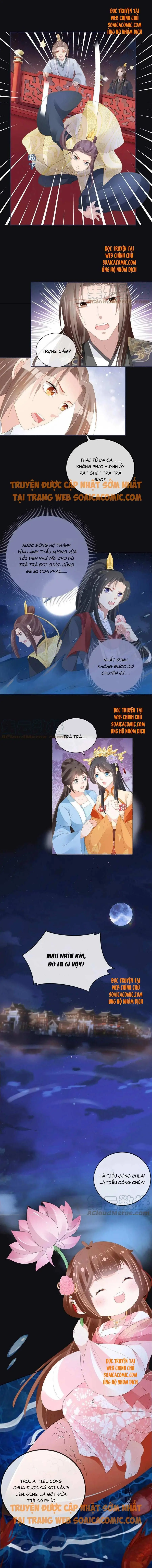Ninita Yêu Dấu - Phần 2 Chapter 376.6 - Trang 4