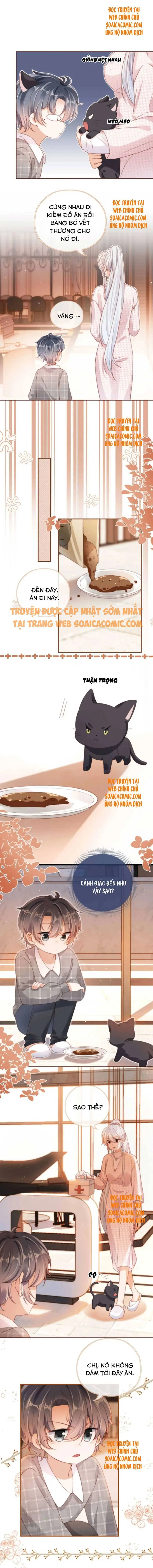 Ninita Yêu Dấu - Phần 2 Chapter 451.8 - Trang 5