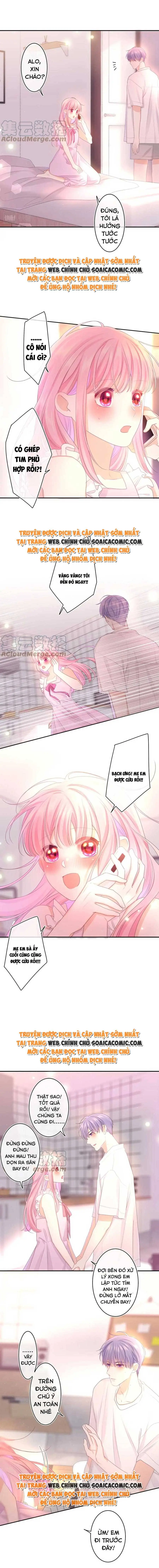 Ninita Yêu Dấu - Phần 2 Chapter 490.2 - Trang 8