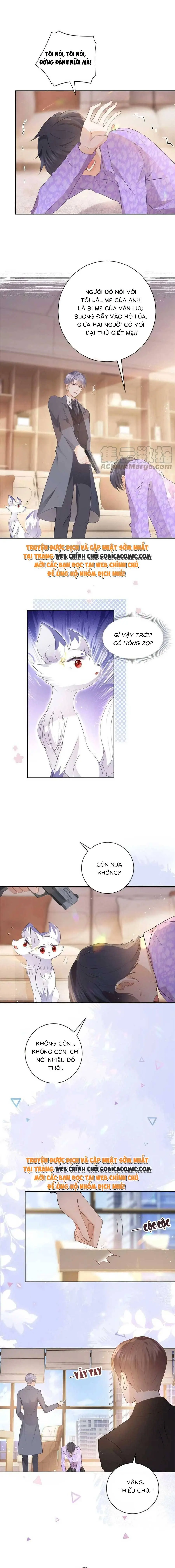 Ninita Yêu Dấu - Phần 2 Chapter 562.4 - Trang 5