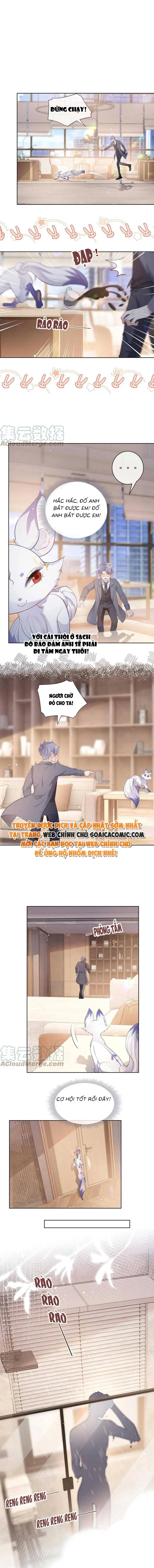 Ninita Yêu Dấu - Phần 2 Chapter 562.5 - Trang 3
