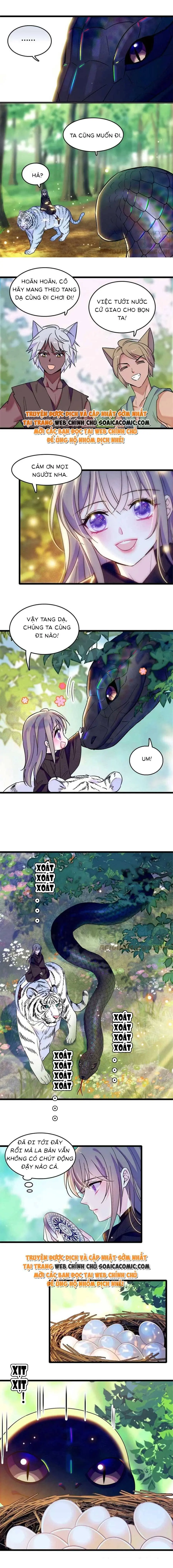 Ninita Yêu Dấu - Phần 2 Chapter 647.9 - Trang 4
