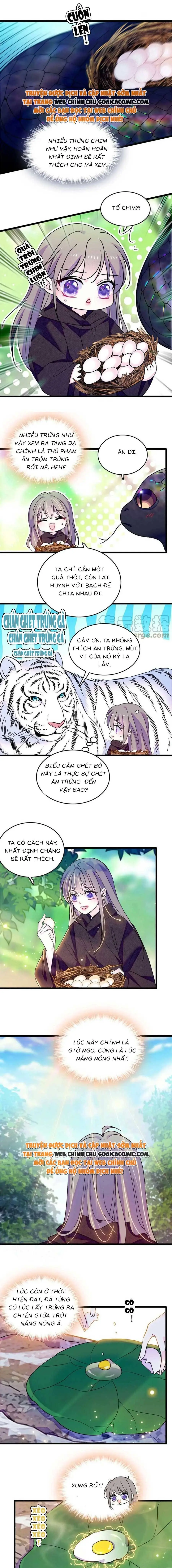 Ninita Yêu Dấu - Phần 2 Chapter 647.9 - Trang 5