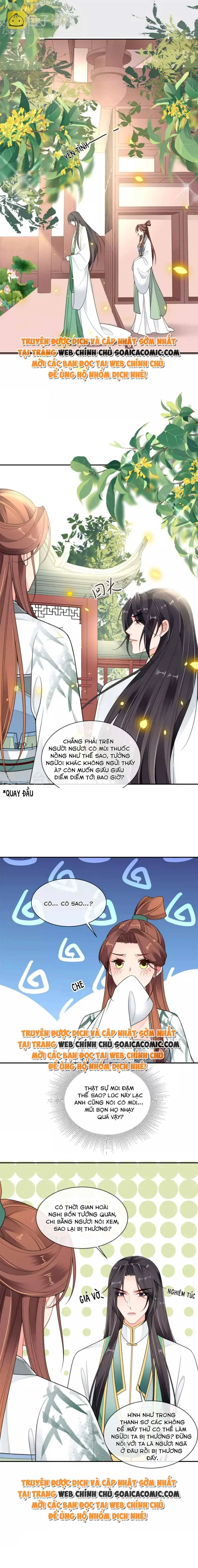 Ninita Yêu Dấu - Phần 2 Chapter 658.1 - Trang 8