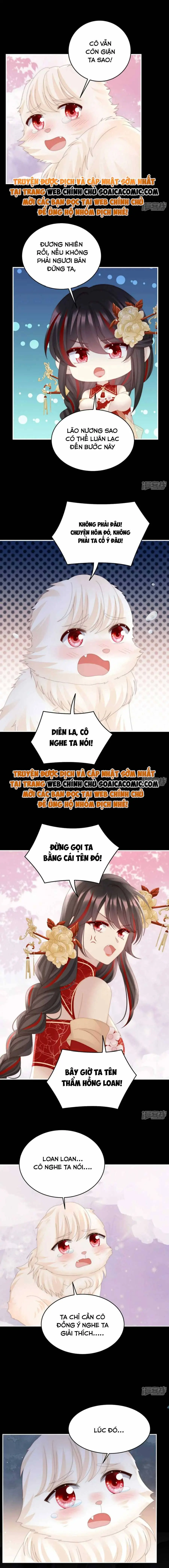Ninita Yêu Dấu - Phần 2 Chapter 658.3 - Trang 4