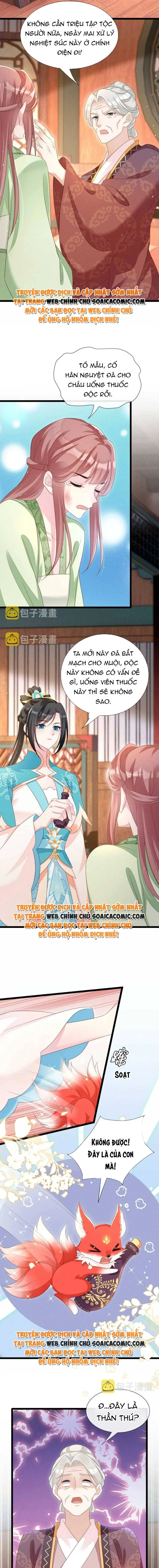 Ninita Yêu Dấu - Phần 2 Chapter 669.4 - Trang 4
