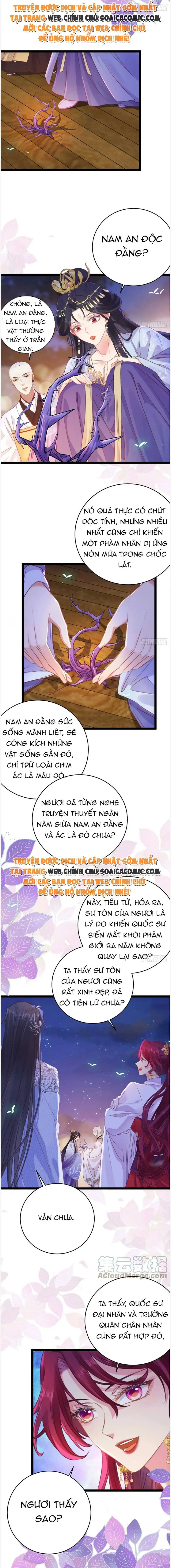 Ninita Yêu Dấu - Phần 2 Chapter 669.5 - Trang 8