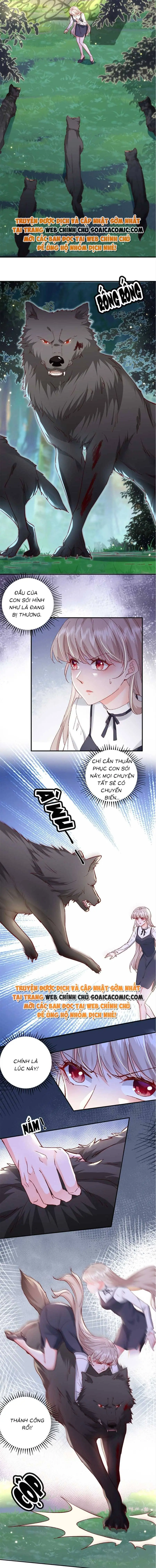 Ninita Yêu Dấu - Phần 2 Chapter 670.1 - Trang 4