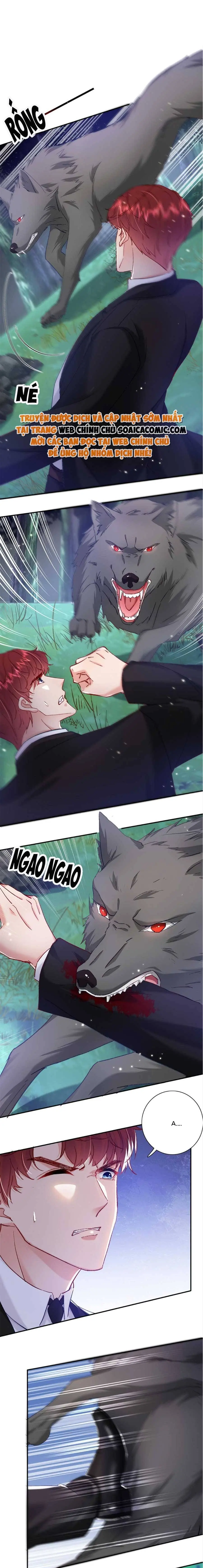 Ninita Yêu Dấu - Phần 2 Chapter 670.1 - Trang 8