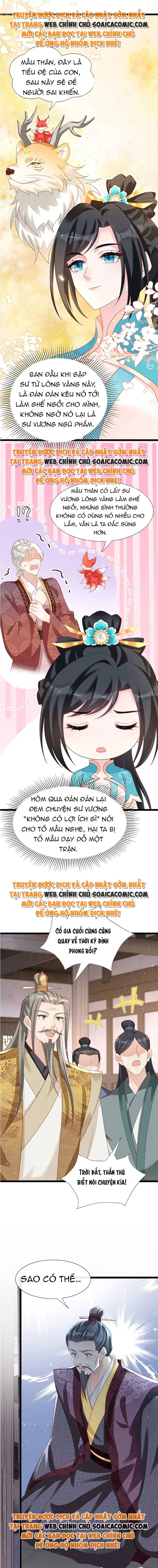 Ninita Yêu Dấu - Phần 2 Chapter 670.2 - Trang 8