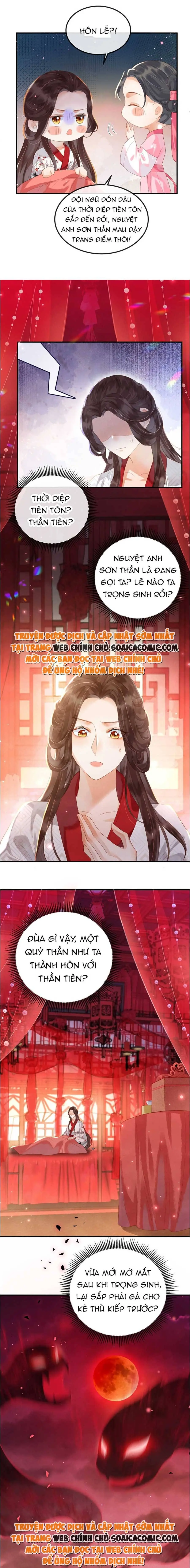 Ninita Yêu Dấu - Phần 2 Chapter 670.9 - Trang 3