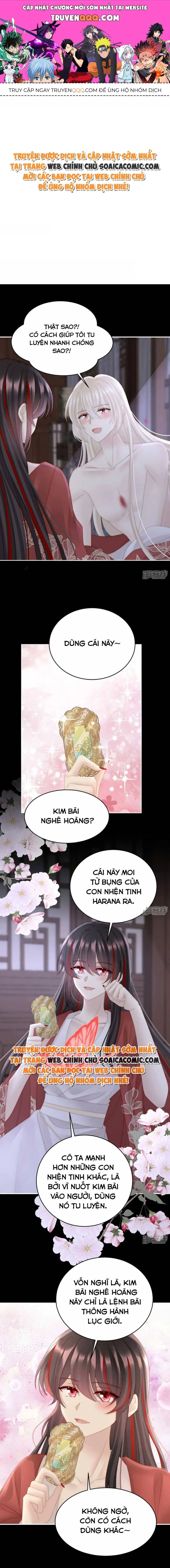 Ninita Yêu Dấu - Phần 2 Chapter 704.8 - Trang 2
