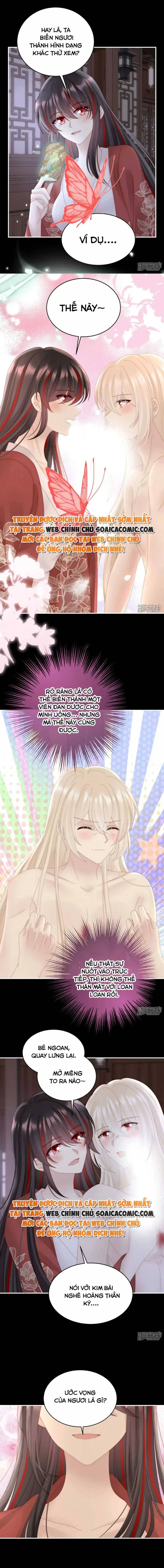 Ninita Yêu Dấu - Phần 2 Chapter 704.8 - Trang 4