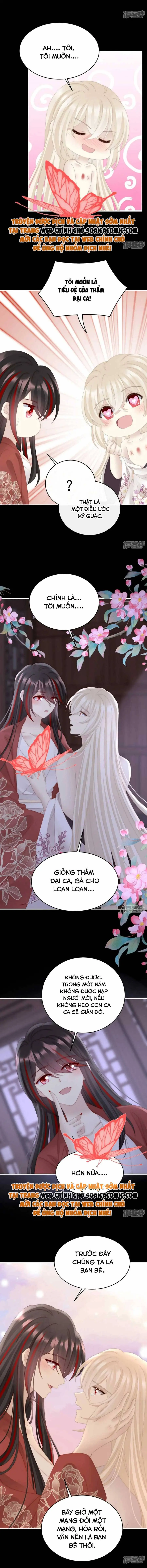 Ninita Yêu Dấu - Phần 2 Chapter 704.8 - Trang 5