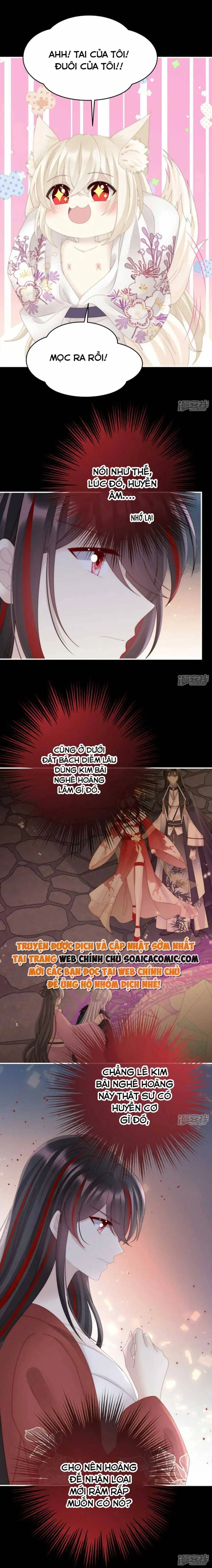 Ninita Yêu Dấu - Phần 2 Chapter 704.8 - Trang 7